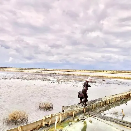 къщата в 別荘 *